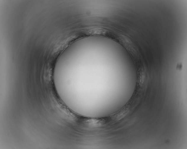 X0000110930326200907021529