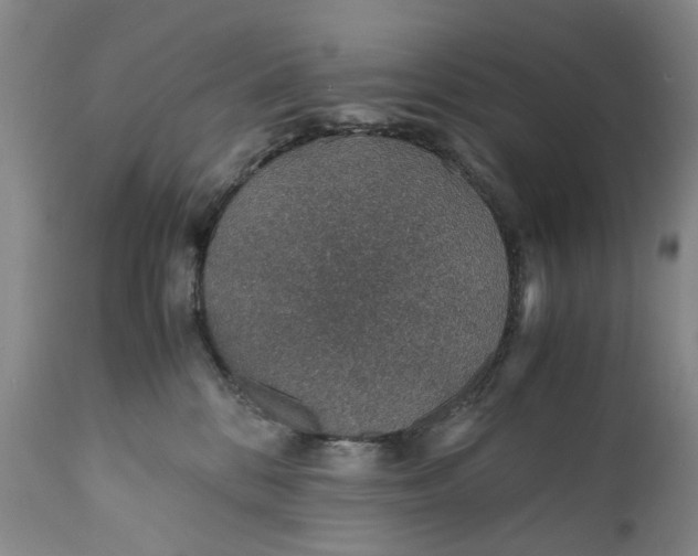 X0000110930328200907021529