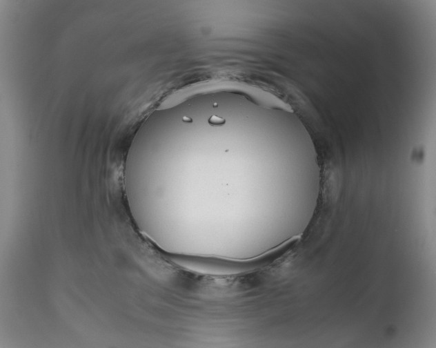 X0000110930329200907021529