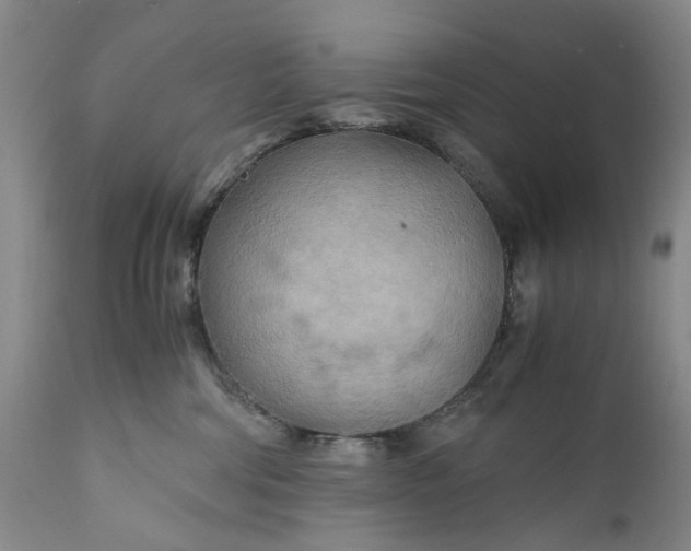 X0000110930330200907021529