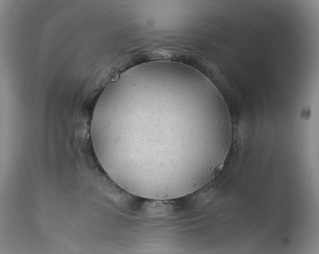 X0000110930331200907021529