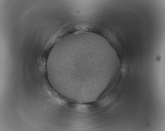 X0000110930332200907021529