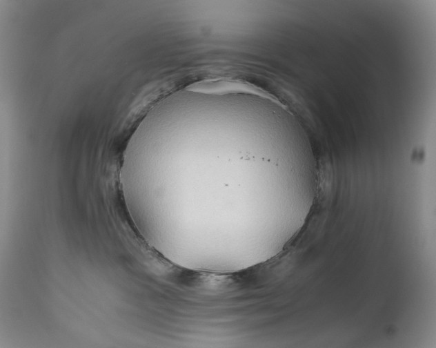 X0000110930333200907021529