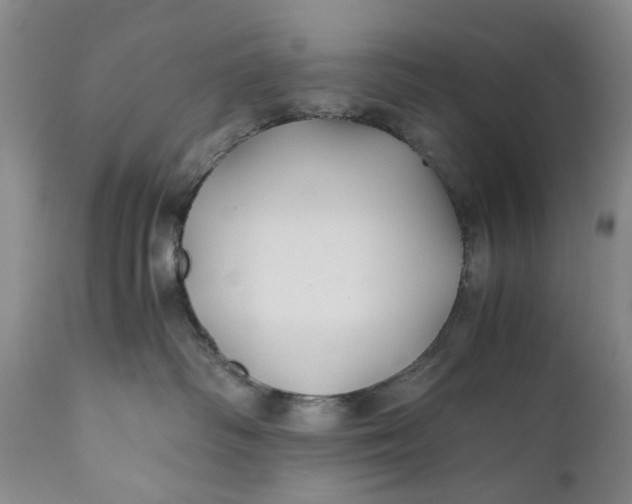 X0000110930334200907021529