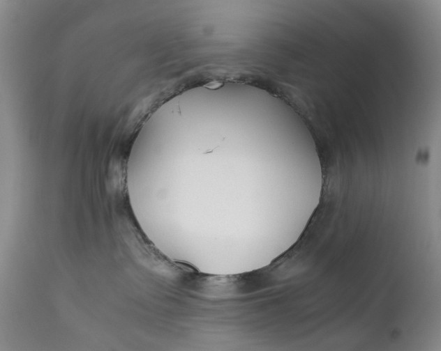 X0000110930335200907021529