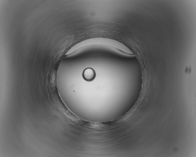 X0000110930336200907021529