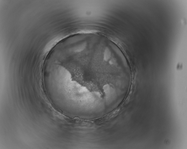 X0000110930337200907021528