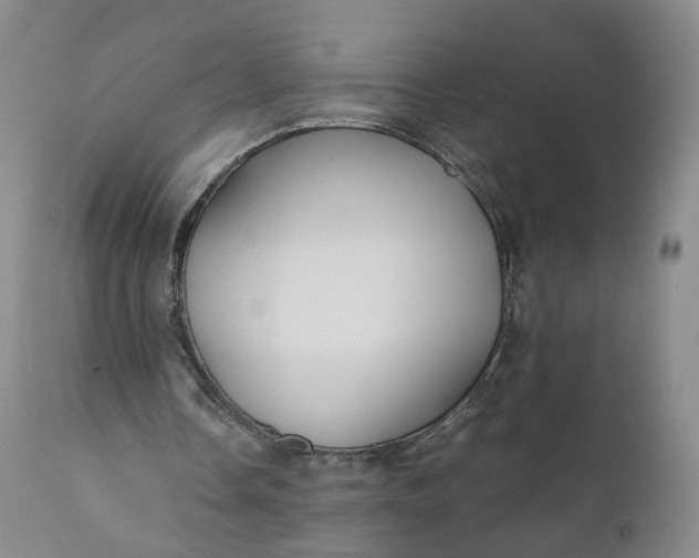 X0000110930338200907021528