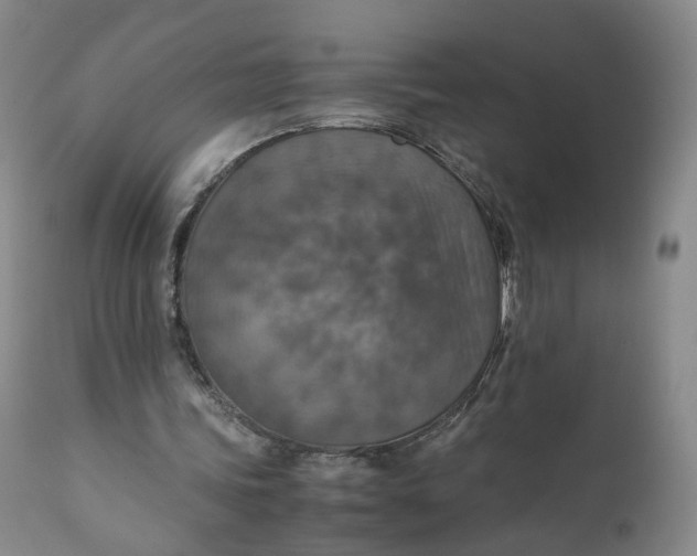 X0000110930339200907021528