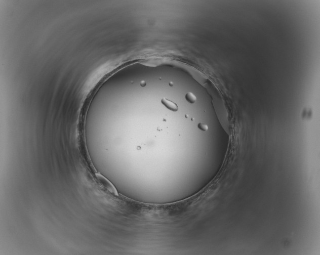 X0000110930340200907021528