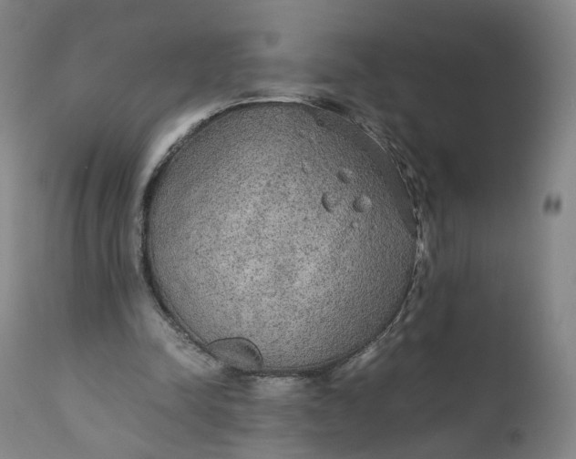 X0000110930342200907021528