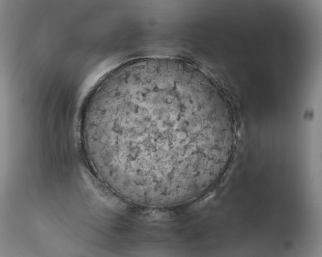 X0000110930343200907021528