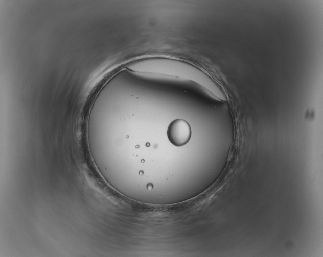 X0000110930344200907021528