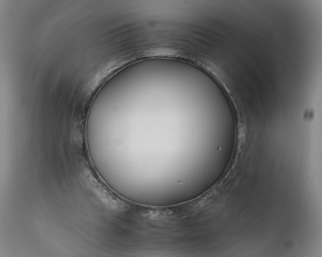 X0000110930345200907021528