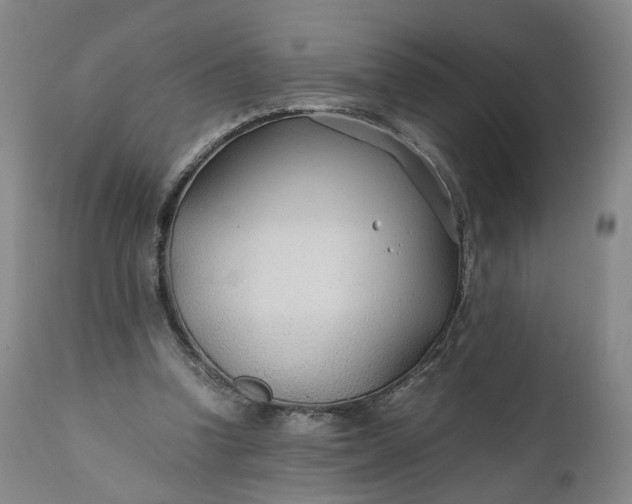 X0000110930346200907021528