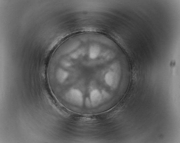 X0000110930347200907021528