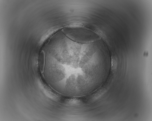 X0000110930348200907021528