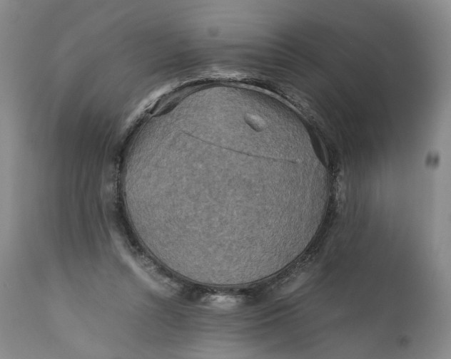 X0000110930352200907021528
