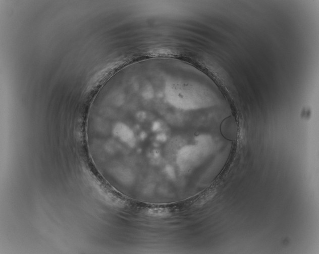 X0000110930353200907021528