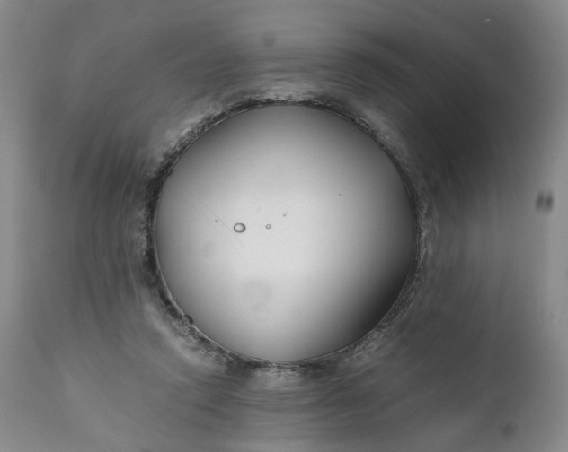 X0000110930354200907021528