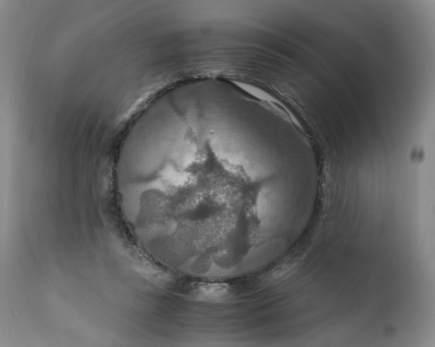 X0000110930355200907021528