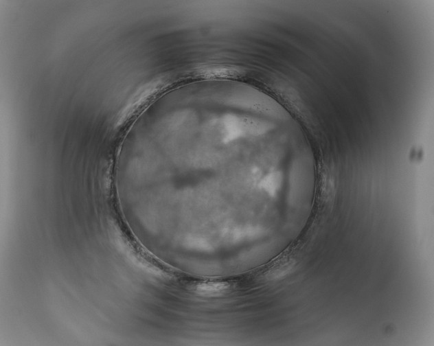 X0000110930357200907021528