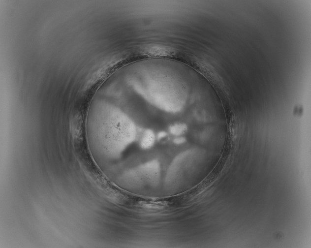 X0000110930359200907021528