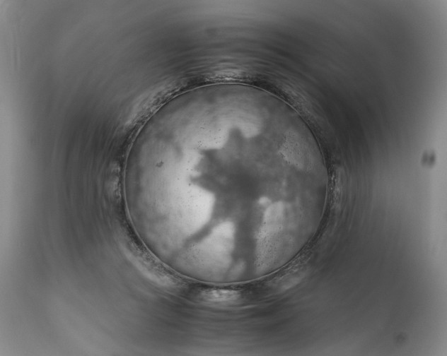 X0000110930361200907021528