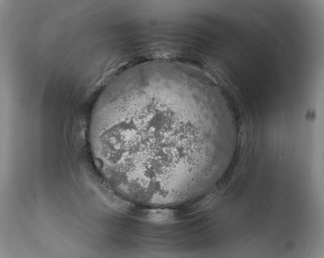X0000110930363200907021528