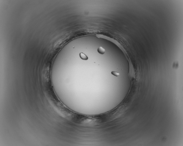 X0000110930364200907021528