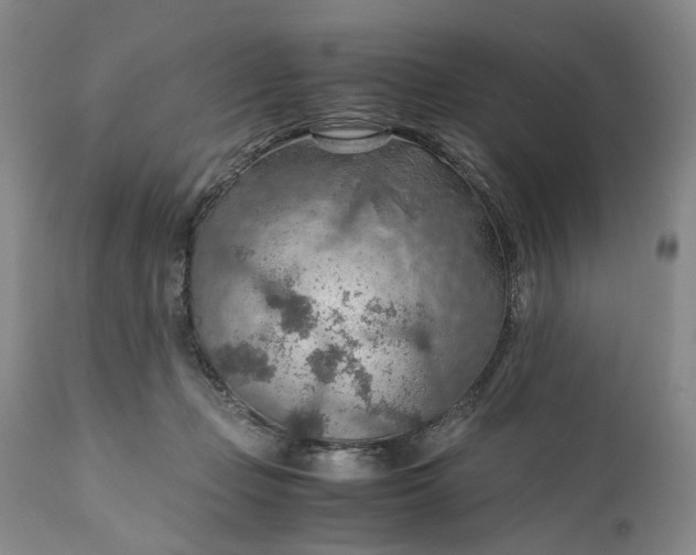 X0000110930365200907021528