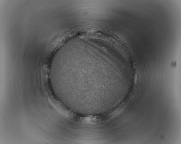 X0000110930366200907021528