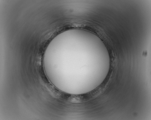 X0000110930368200907021528