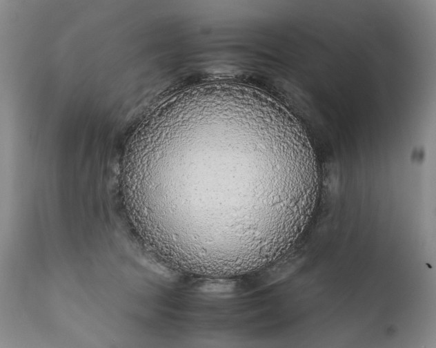 X0000110930369200907021528