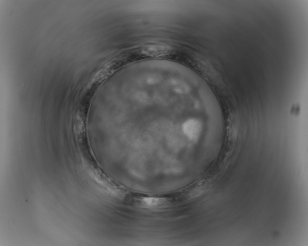 X0000110930371200907021528