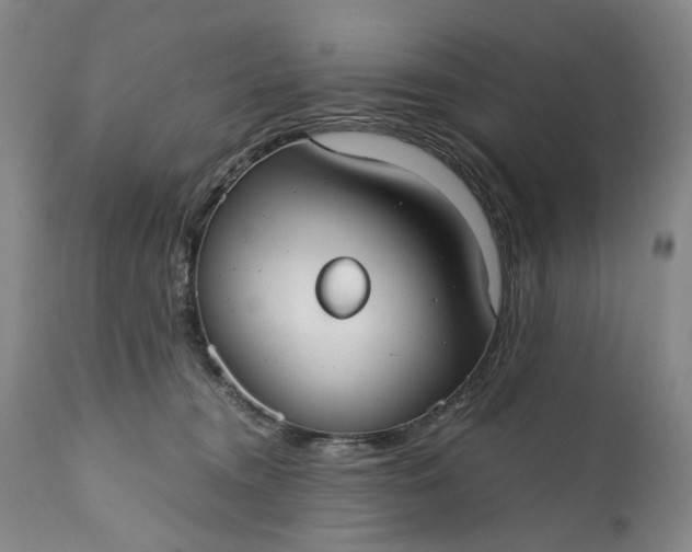 X0000110930372200907021529
