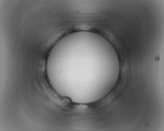 X0000110930374200907021529