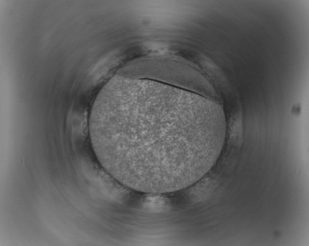 X0000110930376200907021529