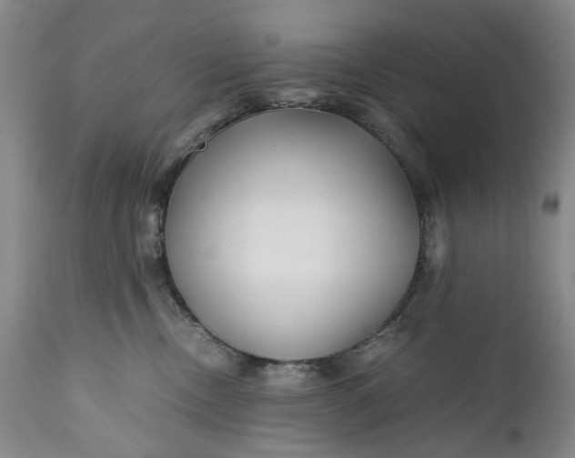 X0000110930378200907021529