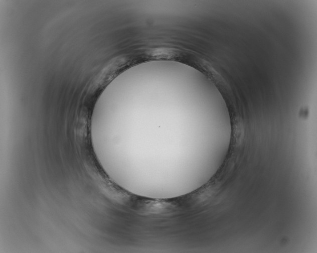 X0000110930379200907021529