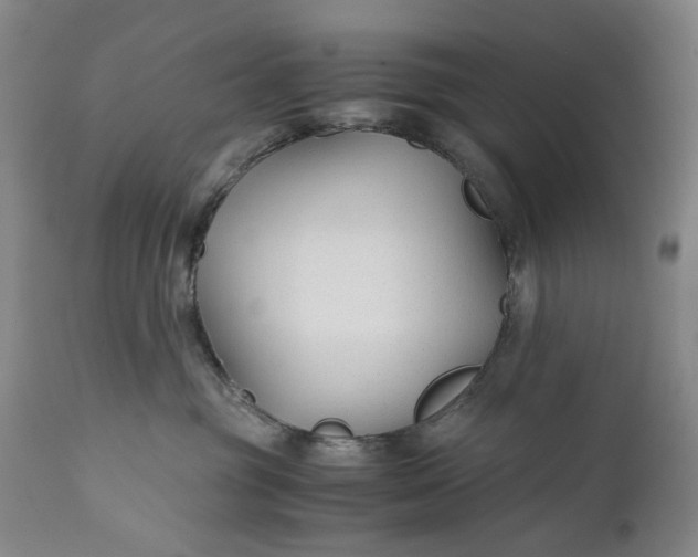 X0000110930381200907021529