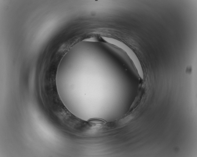X0000110930382200907021529