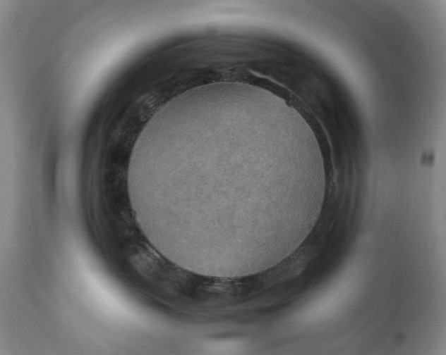X0000110930383200907021529