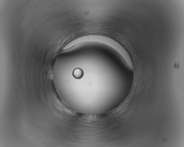 X0000110930384200907021529
