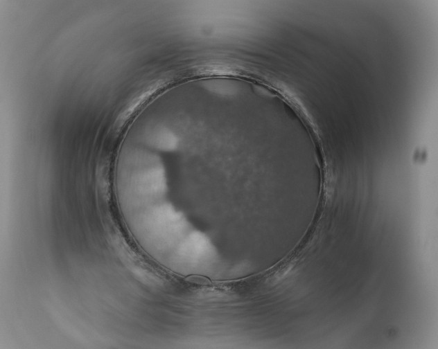 X0000110930386200907021528