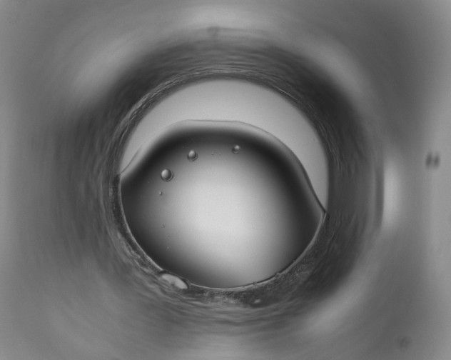 X0000110930387200907021528