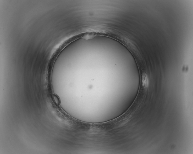 X0000110930388200907021528