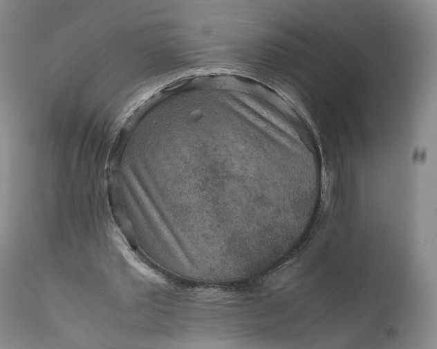 X0000110930389200907021528