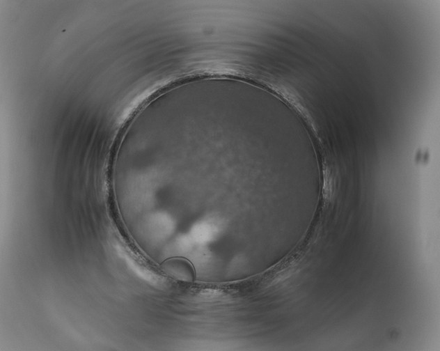 X0000110930390200907021528