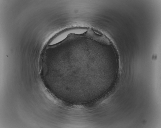 X0000110930391200907021528